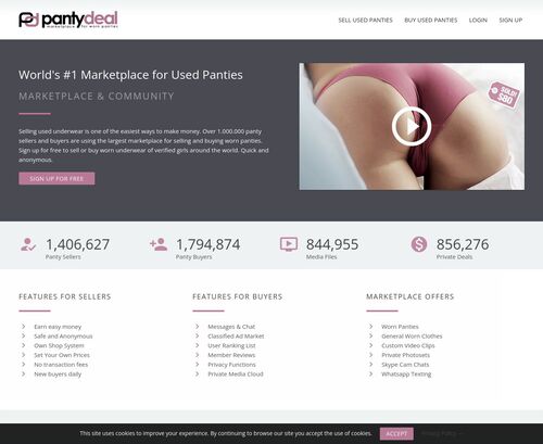 A Review Screenshot of PantyDeal